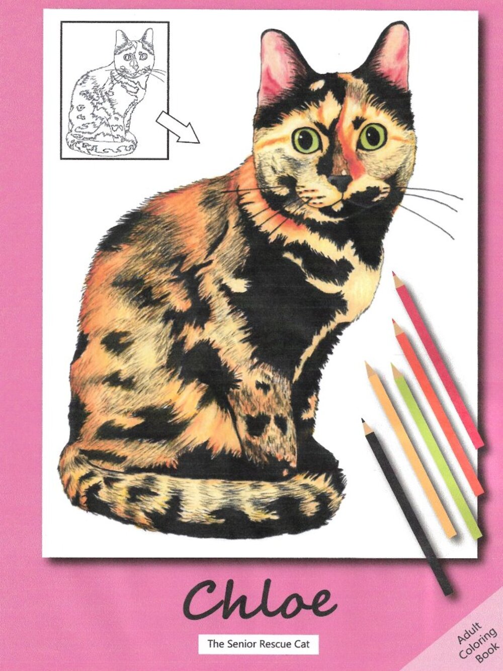 Tortoiseshell Cat Coloring Book For Sale Hand Drawn Pictures